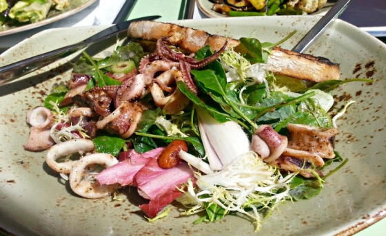 Roasted Monterey Squid Salad Tender Greens